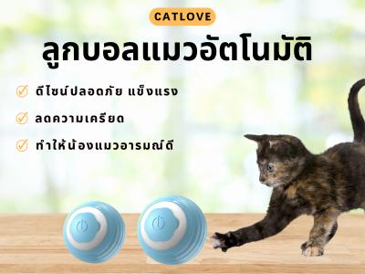 ลูกบอลล่อแมวอัตโนมัติ Catlove