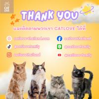 CATLOVE แชมพูสำหรับแมวและสุนัข 3 สูตร เพื่อการดูแลที่เฉพาะจุด