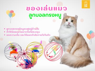 ของเล่นแมว ลูกบอลกรงหนู (คละสี)