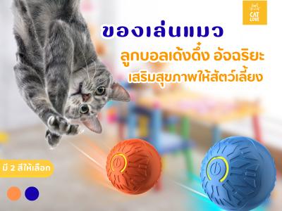 ลูกบอลเด้งดึ๋ง อัจฉริยะ สำหรับน้องหมาและน้องแมว ราคาถูก พร้อมส่งจากไทย