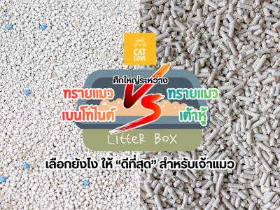 ศึกใหญ่ระหว่างทรายแมว - ทรายแมวเบนโทไนต์ VS เต้าหู้ เลือกยังไง ให้ "ดีที่สุด" สำหรับเจ้าแมว?