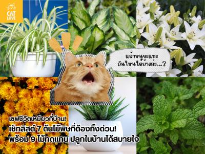 เซฟชีวิตเจ้านาย! เช็กลิสต์ 7 ต้นไม้พิษที่ต้องทิ้งด่วน! พร้อม 9 ไม้ทดแทน ปลูกในบ้านได้สบายใจ